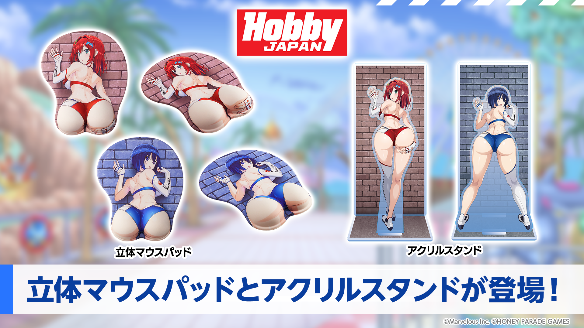 永雪氷織 立体マウスパッド ドルフィンウェーブ Softgarage