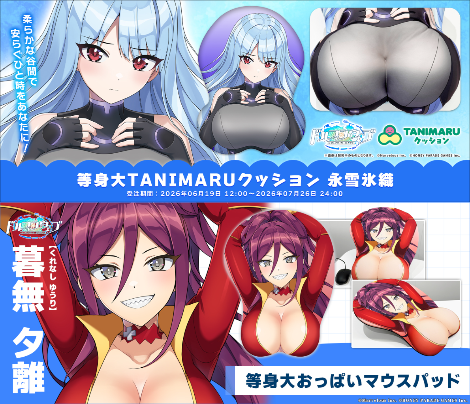 ドルフィンウェーブ商品化情報(2026～)
